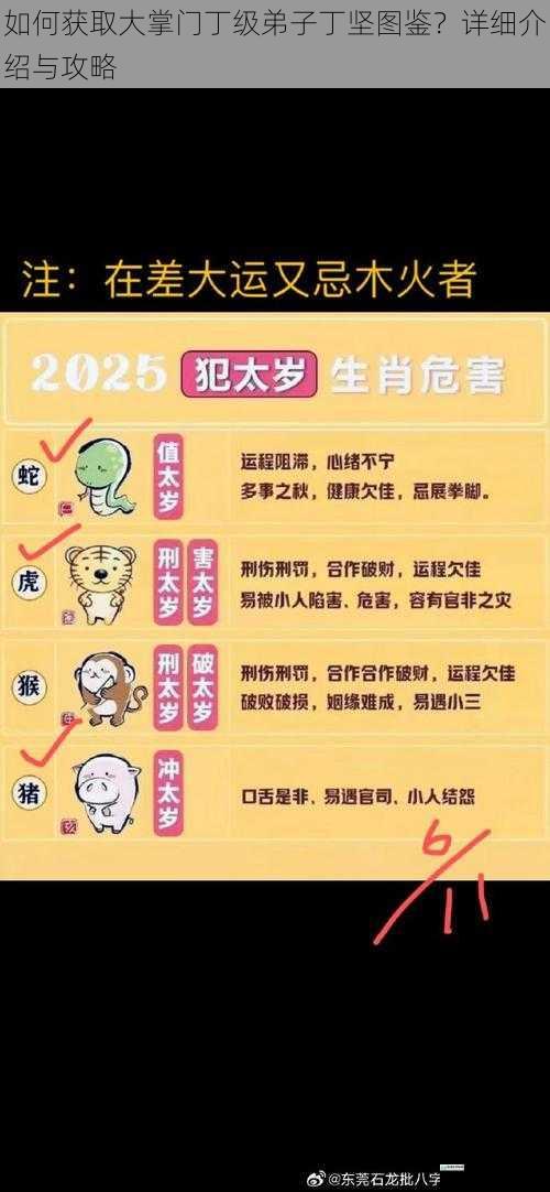 如何获取大掌门丁级弟子丁坚图鉴？详细介绍与攻略