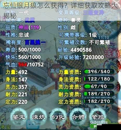 忘仙银月狼怎么获得？详细获取攻略大揭秘
