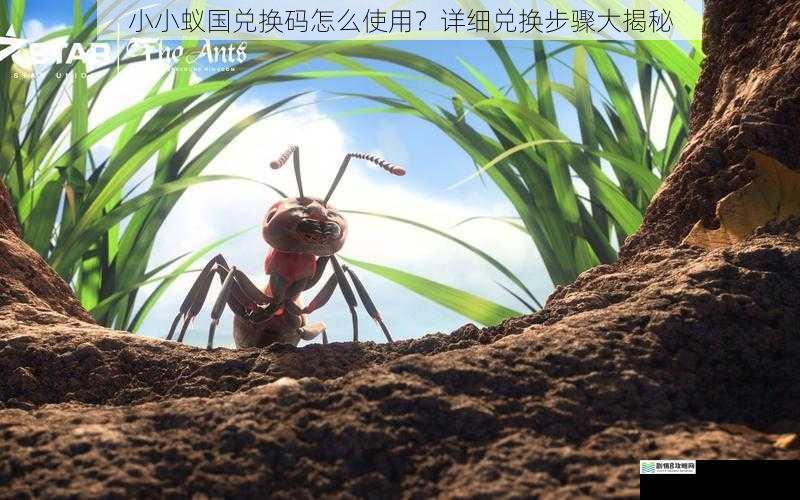 小小蚁国兑换码怎么使用？详细兑换步骤大揭秘