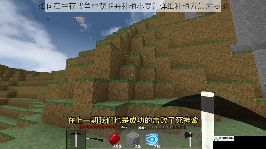 如何在生存战争中获取并种植小麦？详细种植方法大揭秘
