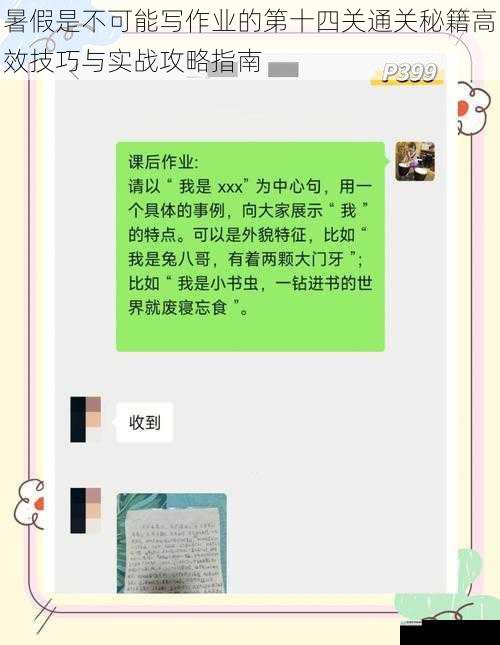 暑假是不可能写作业的第十四关通关秘籍高效技巧与实战攻略指南