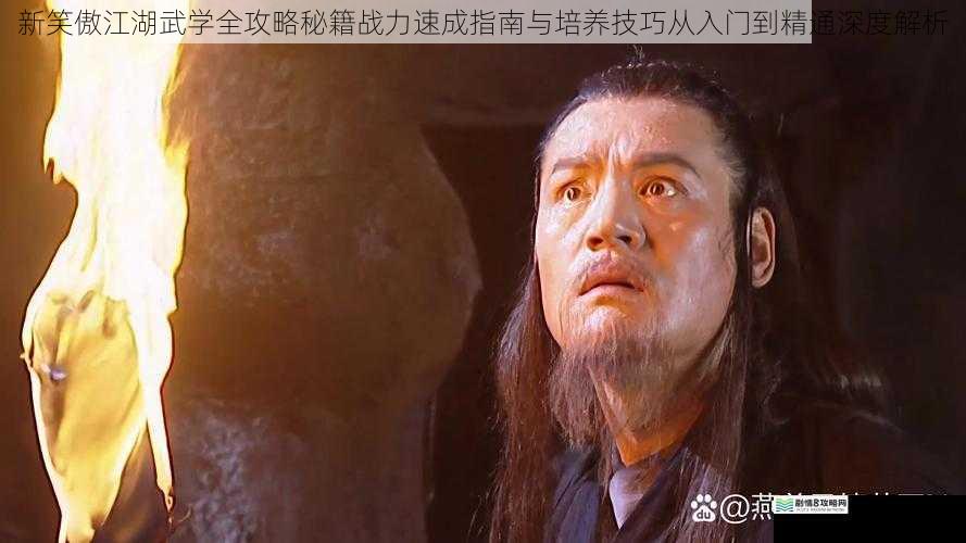 新笑傲江湖武学全攻略秘籍战力速成指南与培养技巧从入门到精通深度解析