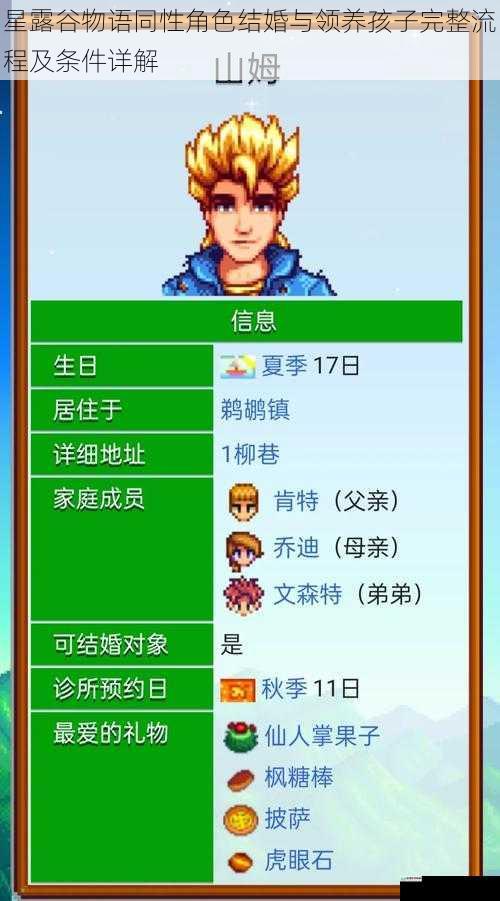 星露谷物语同性角色结婚与领养孩子完整流程及条件详解