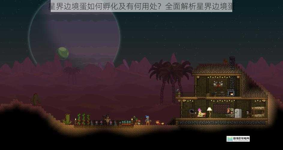 星界边境蛋如何孵化及有何用处？全面解析星界边境蛋